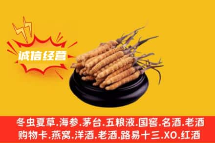 鄂尔多斯乌审旗回收冬虫夏草